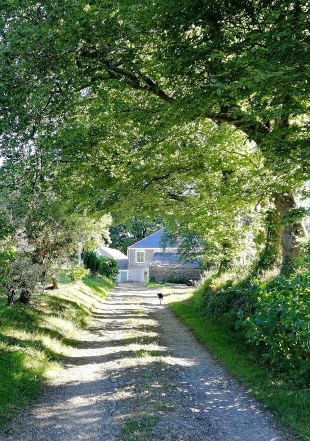 Pelynt Cornwall, Looe - Magical Pendriffey מראה חיצוני תמונה