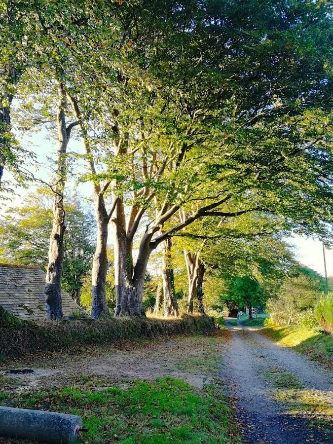 Pelynt Cornwall, Looe - Magical Pendriffey מראה חיצוני תמונה